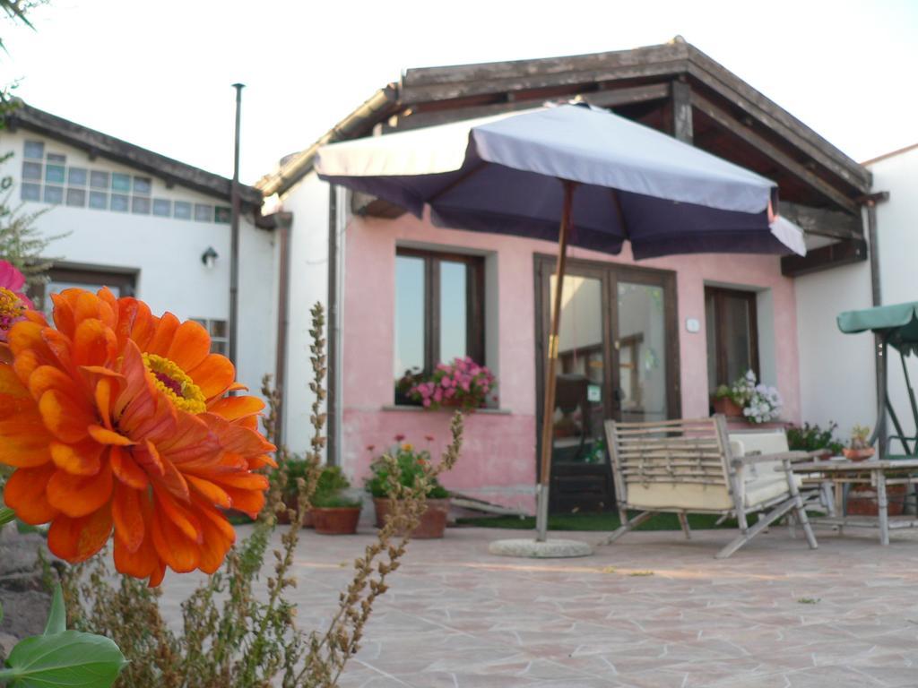Agriturismo Sa Tanca Noa Tergu Exteriör bild