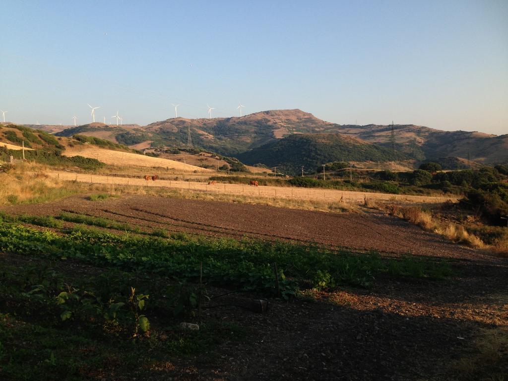 Agriturismo Sa Tanca Noa Tergu Exteriör bild