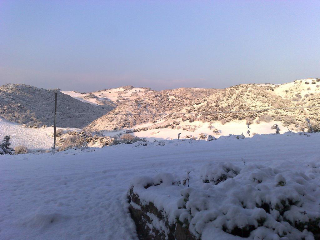 Agriturismo Sa Tanca Noa Tergu Exteriör bild