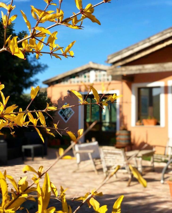Agriturismo Sa Tanca Noa Tergu Exteriör bild