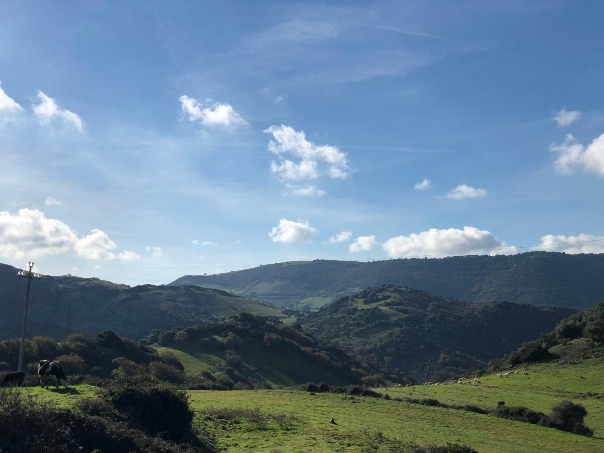 Agriturismo Sa Tanca Noa Tergu Exteriör bild